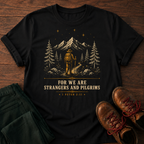 Strangers & Pilgrims